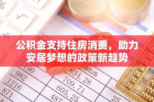 三沙公积金支持住房消费，助力安居梦想的政策新趋势