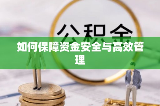三沙如何保障资金安全与高效管理