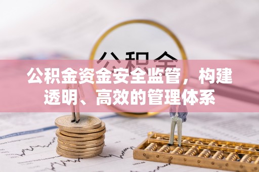 三沙公积金资金安全监管，构建透明、高效的管理体系