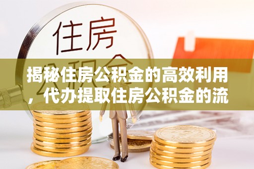 三沙揭秘住房公积金的高效利用，代办提取住房公积金的流程与技巧