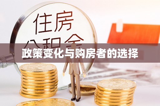 三沙政策变化与购房者的选择