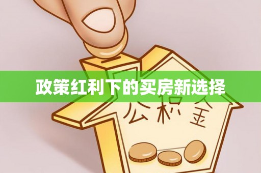 三沙政策红利下的买房新选择