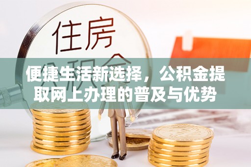 三沙便捷生活新选择，公积金提取网上办理的普及与优势