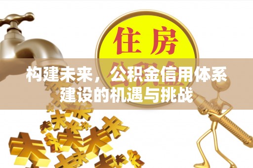 三沙构建未来，公积金信用体系建设的机遇与挑战