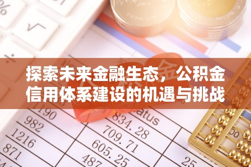 三沙探索未来金融生态，公积金信用体系建设的机遇与挑战