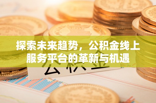 三沙探索未来趋势，公积金线上服务平台的革新与机遇