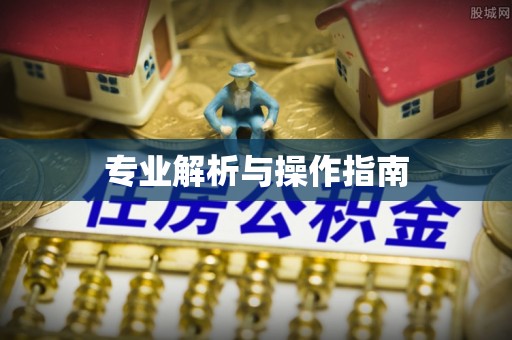 三沙专业解析与操作指南