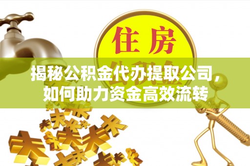 三沙揭秘公积金代办提取公司，如何助力资金高效流转