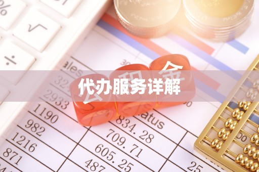 三沙代办服务详解