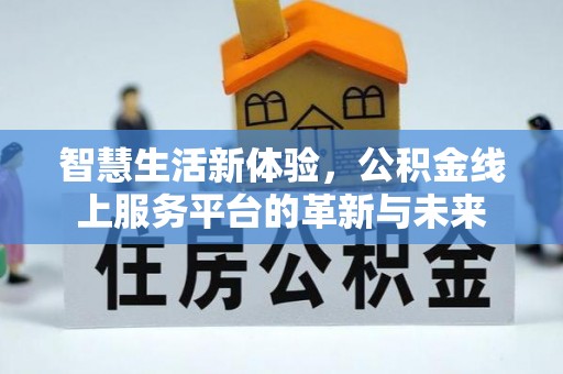 三沙智慧生活新体验，公积金线上服务平台的革新与未来