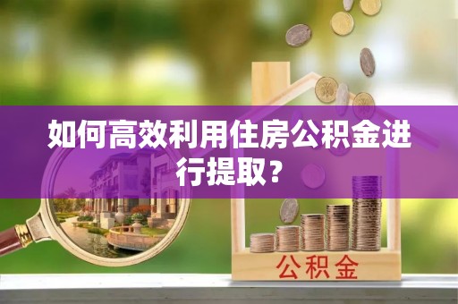 三沙如何高效利用住房公积金进行提取？