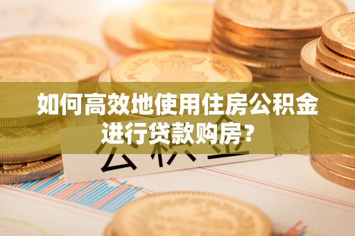 三沙如何高效地使用住房公积金进行贷款购房？