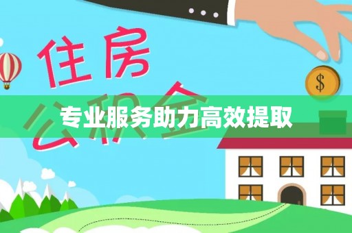 三沙专业服务助力高效提取