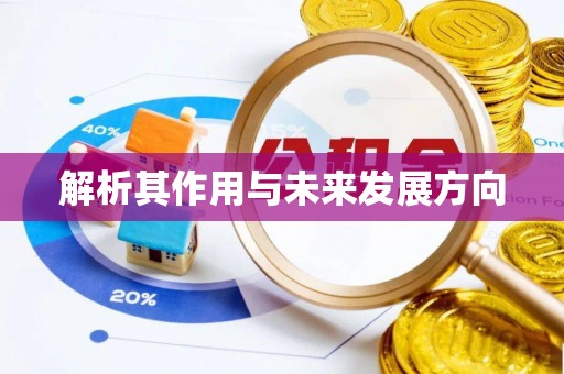 三沙解析其作用与未来发展方向